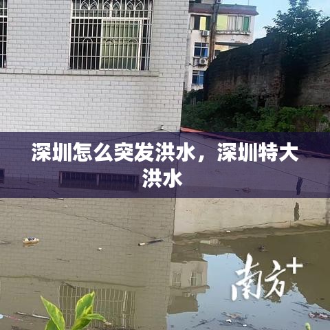 勃然大怒 第2頁