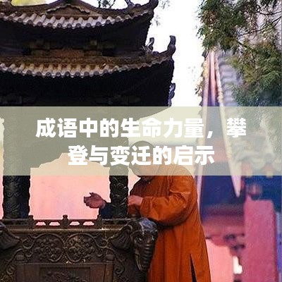 成語中的生命力量，攀登與變遷的啟示