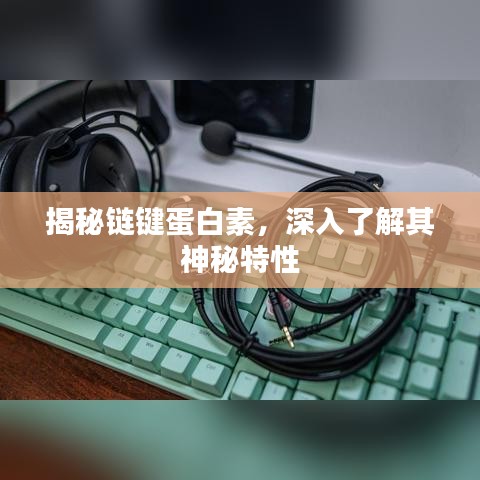 揭秘鏈鍵蛋白素，深入了解其神秘特性
