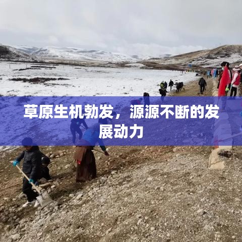 草原生機勃發(fā)，源源不斷的發(fā)展動力