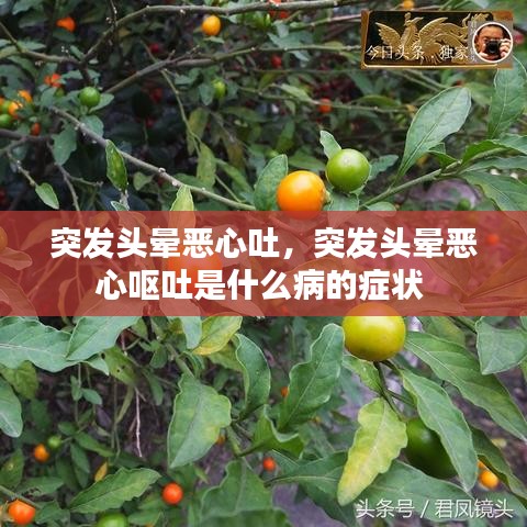 突發(fā)頭暈惡心吐，突發(fā)頭暈惡心嘔吐是什么病的癥狀 