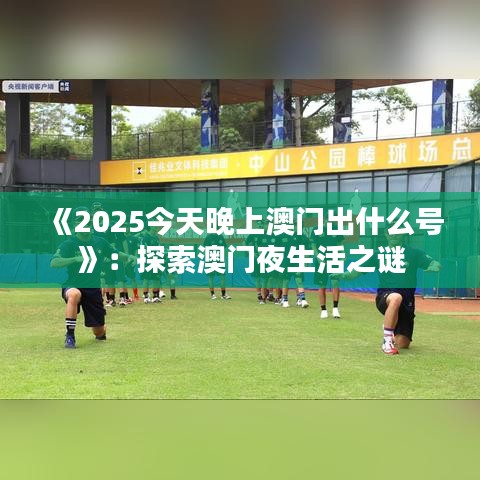 《2025今天晚上澳門出什么號(hào)》：探索澳門夜生活之謎