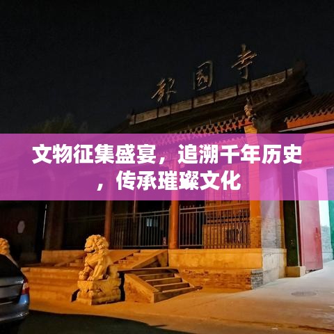 文物征集盛宴，追溯千年歷史，傳承璀璨文化