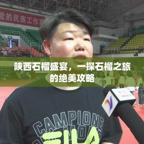 陜西石榴盛宴，一探石榴之旅的絕美攻略
