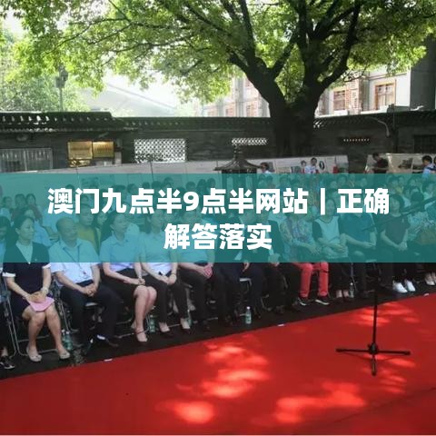 澳門九點半9點半網(wǎng)站｜正確解答落實