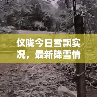 儀隴今日雪飄實(shí)況，最新降雪情況一覽