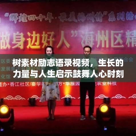 樹素材勵(lì)志語錄視頻，生長(zhǎng)的力量與人生啟示鼓舞人心時(shí)刻