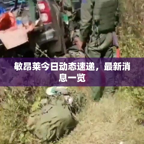 敏昂萊今日動(dòng)態(tài)速遞，最新消息一覽