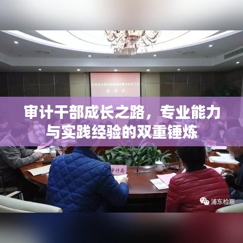 審計(jì)干部成長之路，專業(yè)能力與實(shí)踐經(jīng)驗(yàn)的雙重錘煉