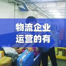 物流企業(yè)運營的有效落實策略