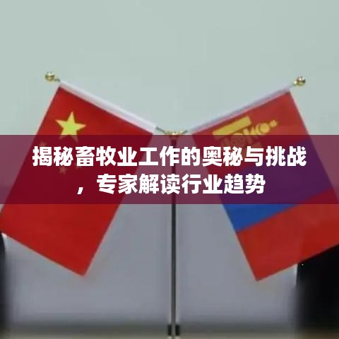揭秘畜牧業(yè)工作的奧秘與挑戰(zhàn)，專家解讀行業(yè)趨勢