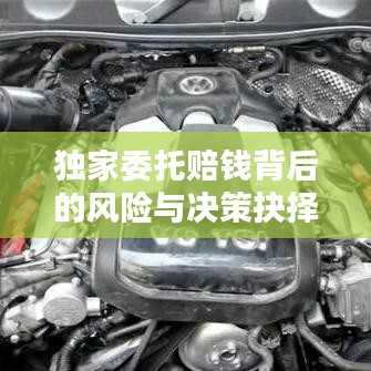 獨(dú)家委托賠錢背后的風(fēng)險與決策抉擇