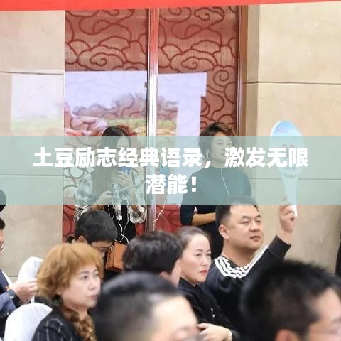 土豆勵志經(jīng)典語錄，激發(fā)無限潛能！