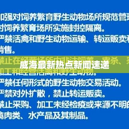 威海最新熱點新聞速遞