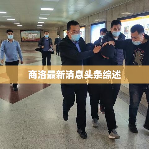商洛最新消息頭條綜述