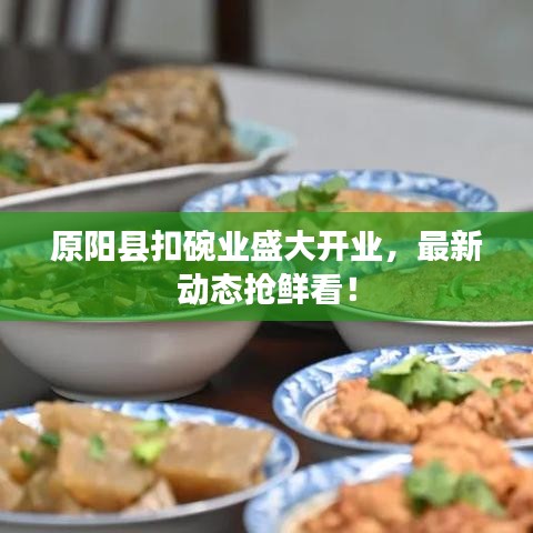 原陽(yáng)縣扣碗業(yè)盛大開(kāi)業(yè)，最新動(dòng)態(tài)搶鮮看！