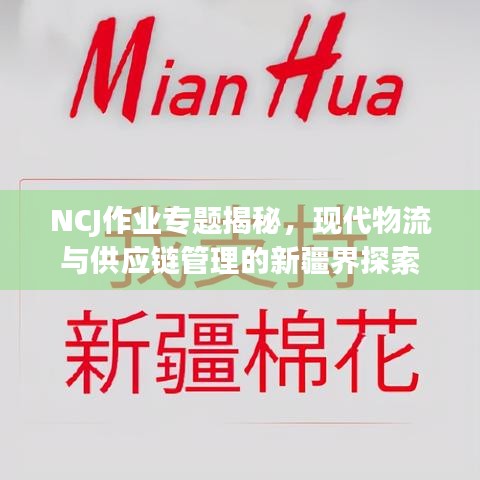 NCJ作業(yè)專題揭秘，現(xiàn)代物流與供應(yīng)鏈管理的新疆界探索