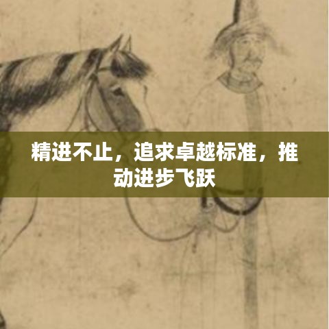 精進(jìn)不止，追求卓越標(biāo)準(zhǔn)，推動(dòng)進(jìn)步飛躍