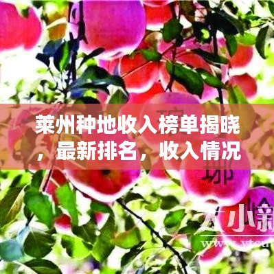 萊州種地收入榜單揭曉，最新排名，收入情況大揭秘！
