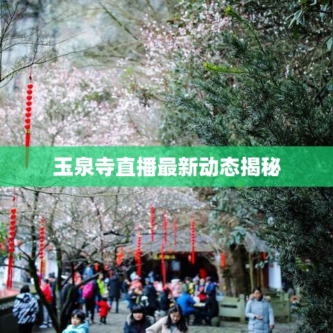 玉泉寺直播最新動(dòng)態(tài)揭秘
