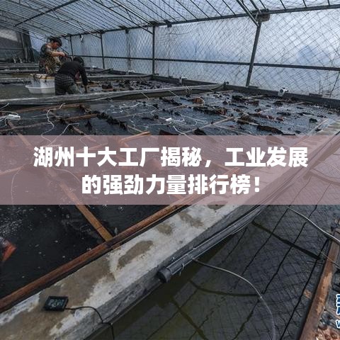 湖州十大工廠揭秘，工業(yè)發(fā)展的強勁力量排行榜！