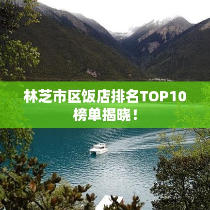 林芝市區(qū)飯店排名TOP10榜單揭曉！