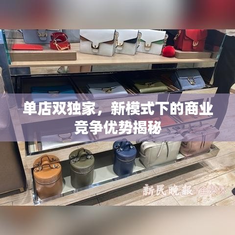 單店雙獨家，新模式下的商業(yè)競爭優(yōu)勢揭秘