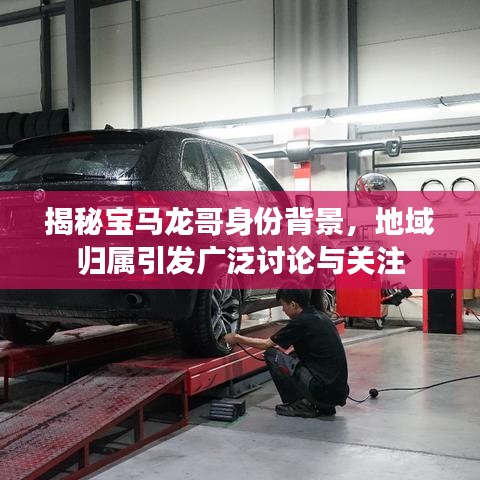 揭秘寶馬龍哥身份背景，地域歸屬引發(fā)廣泛討論與關(guān)注