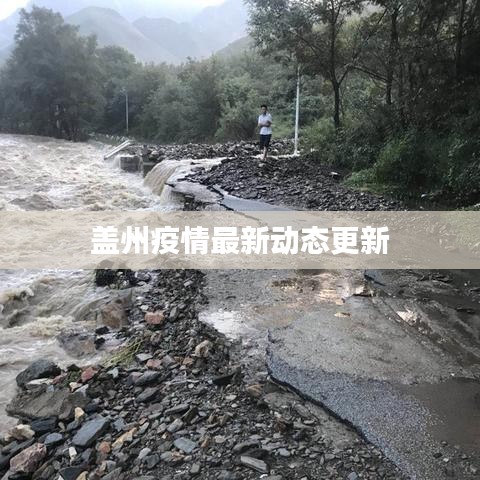 蓋州疫情最新動(dòng)態(tài)更新
