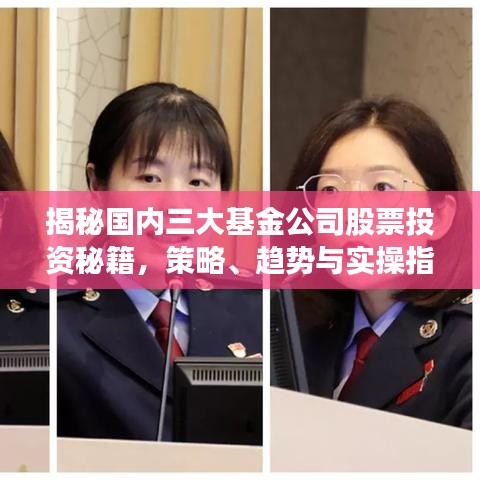 揭秘國內(nèi)三大基金公司股票投資秘籍，策略、趨勢(shì)與實(shí)操指南
