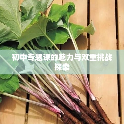 初中專題課的魅力與雙重挑戰(zhàn)探索