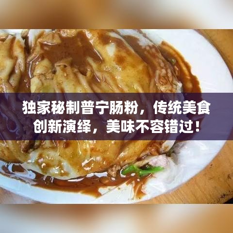 獨家秘制普寧腸粉，傳統(tǒng)美食創(chuàng)新演繹，美味不容錯過！