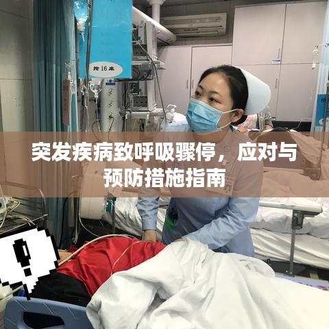 突發(fā)疾病致呼吸驟停，應(yīng)對(duì)與預(yù)防措施指南