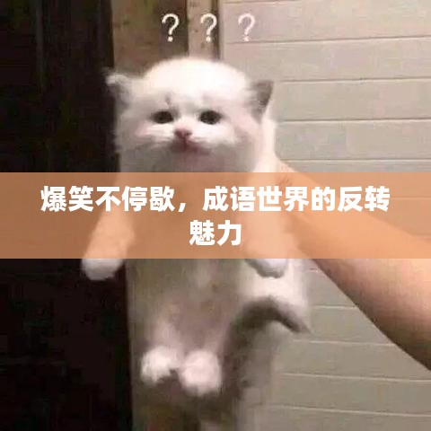 爆笑不停歇，成語世界的反轉(zhuǎn)魅力