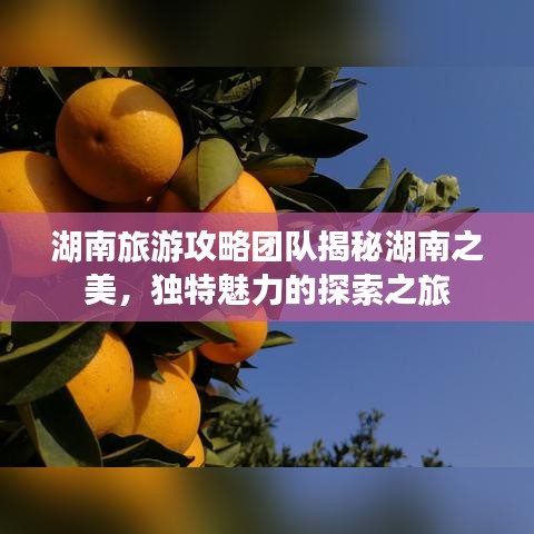 湖南旅游攻略團(tuán)隊(duì)揭秘湖南之美，獨(dú)特魅力的探索之旅