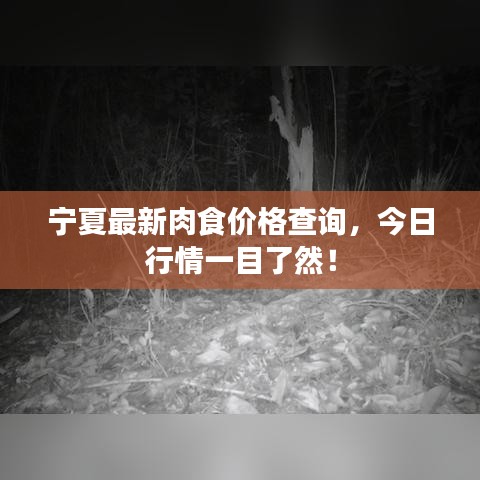 寧夏最新肉食價格查詢，今日行情一目了然！