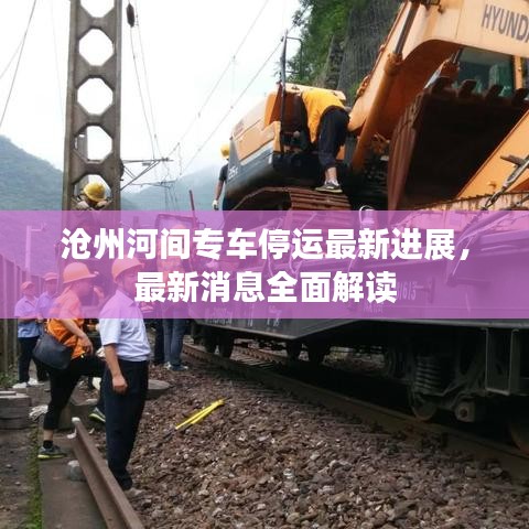 滄州河間專車停運(yùn)最新進(jìn)展，最新消息全面解讀