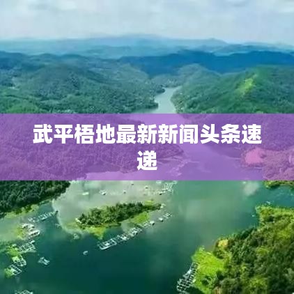 武平梧地最新新聞頭條速遞