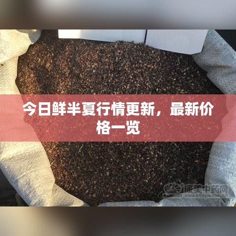 今日鮮半夏行情更新，最新價(jià)格一覽