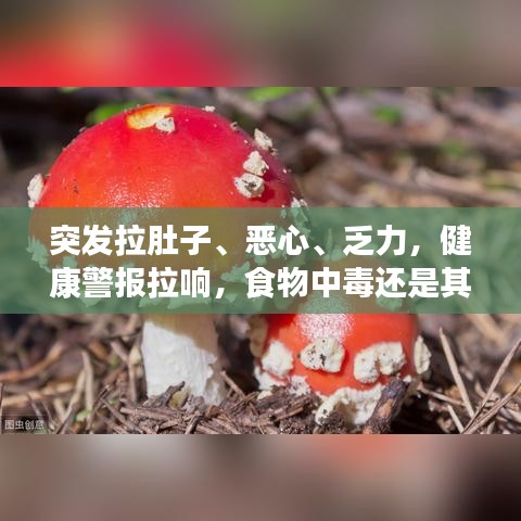 突發(fā)拉肚子、惡心、乏力，健康警報拉響，食物中毒還是其他健康問題？