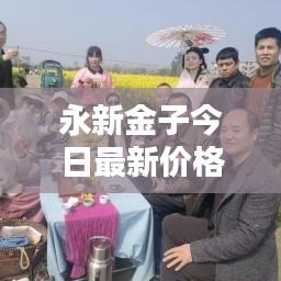永新金子今日最新價(jià)格查詢報(bào)告