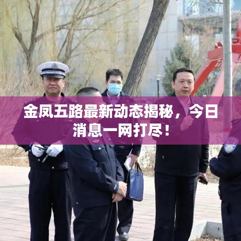 金鳳五路最新動態(tài)揭秘，今日消息一網(wǎng)打盡！