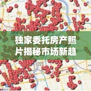 獨(dú)家委托房產(chǎn)照片揭秘市場新趨勢