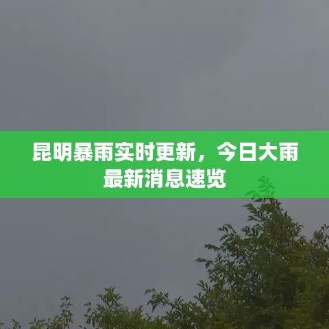 昆明暴雨實時更新，今日大雨最新消息速覽