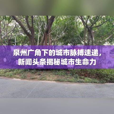 泉州廣角下的城市脈搏速遞，新聞頭條揭秘城市生命力
