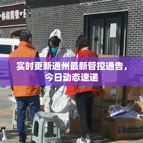 寒蟬僵鳥(niǎo) 第2頁(yè)