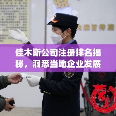 佳木斯公司注冊(cè)排名揭秘，洞悉當(dāng)?shù)仄髽I(yè)發(fā)展的龍頭格局