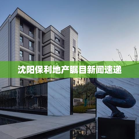 沈陽(yáng)保利地產(chǎn)矚目新聞速遞