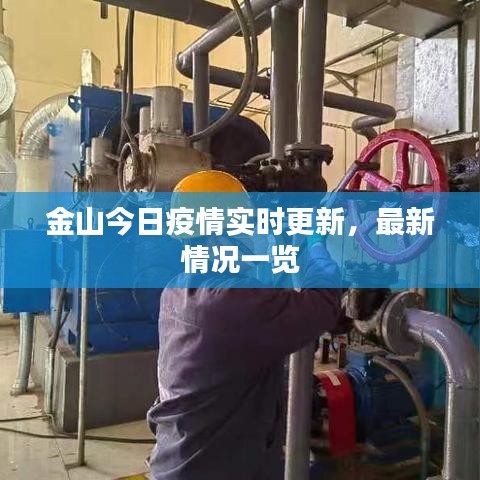金山今日疫情實時更新，最新情況一覽