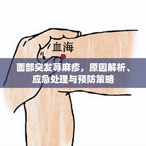 面部突發(fā)蕁麻疹，原因解析、應(yīng)急處理與預(yù)防策略